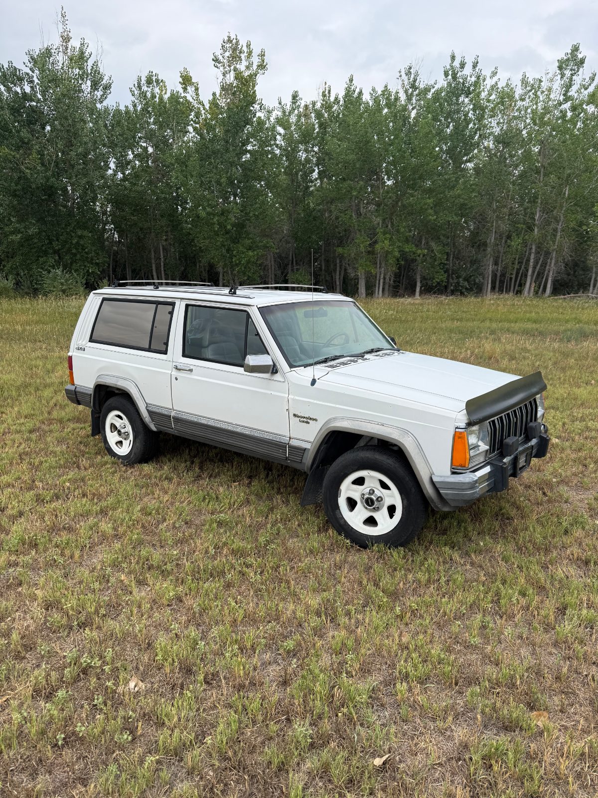 1988 JEEP Cherokee